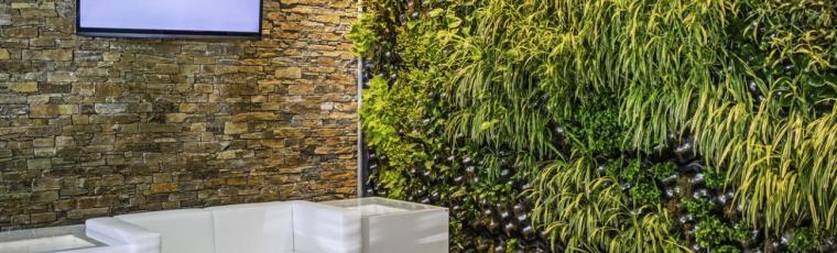 Installation d'un mur végétal intérieur dans un salon