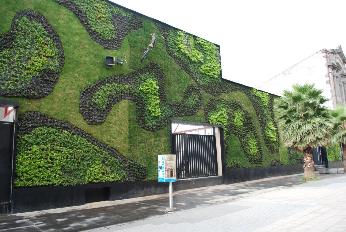 mur de plantes extérieur