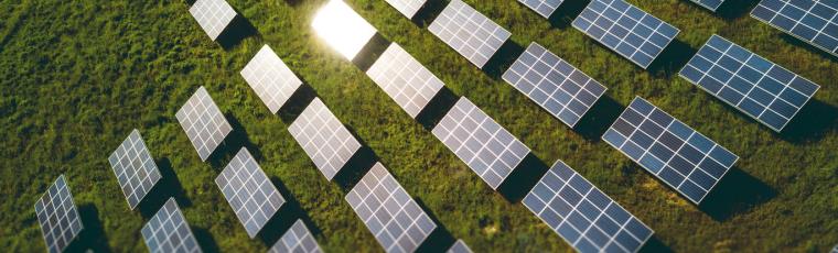 Champ-panneaux-photovoltaiques-recyclables-belgique