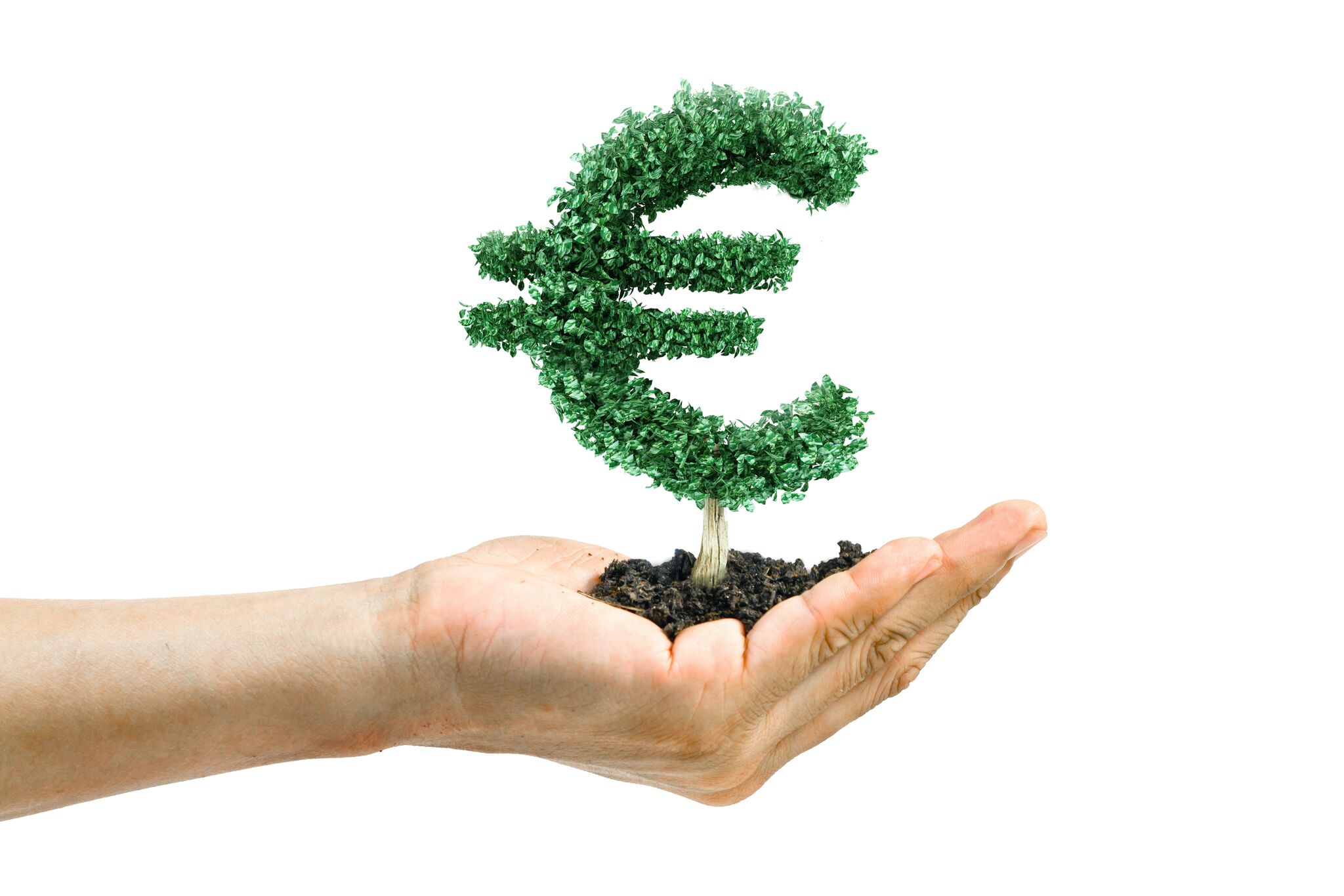 toit vert bon investissement isolation - isolatie groen dak goede investering fiscale aftrek