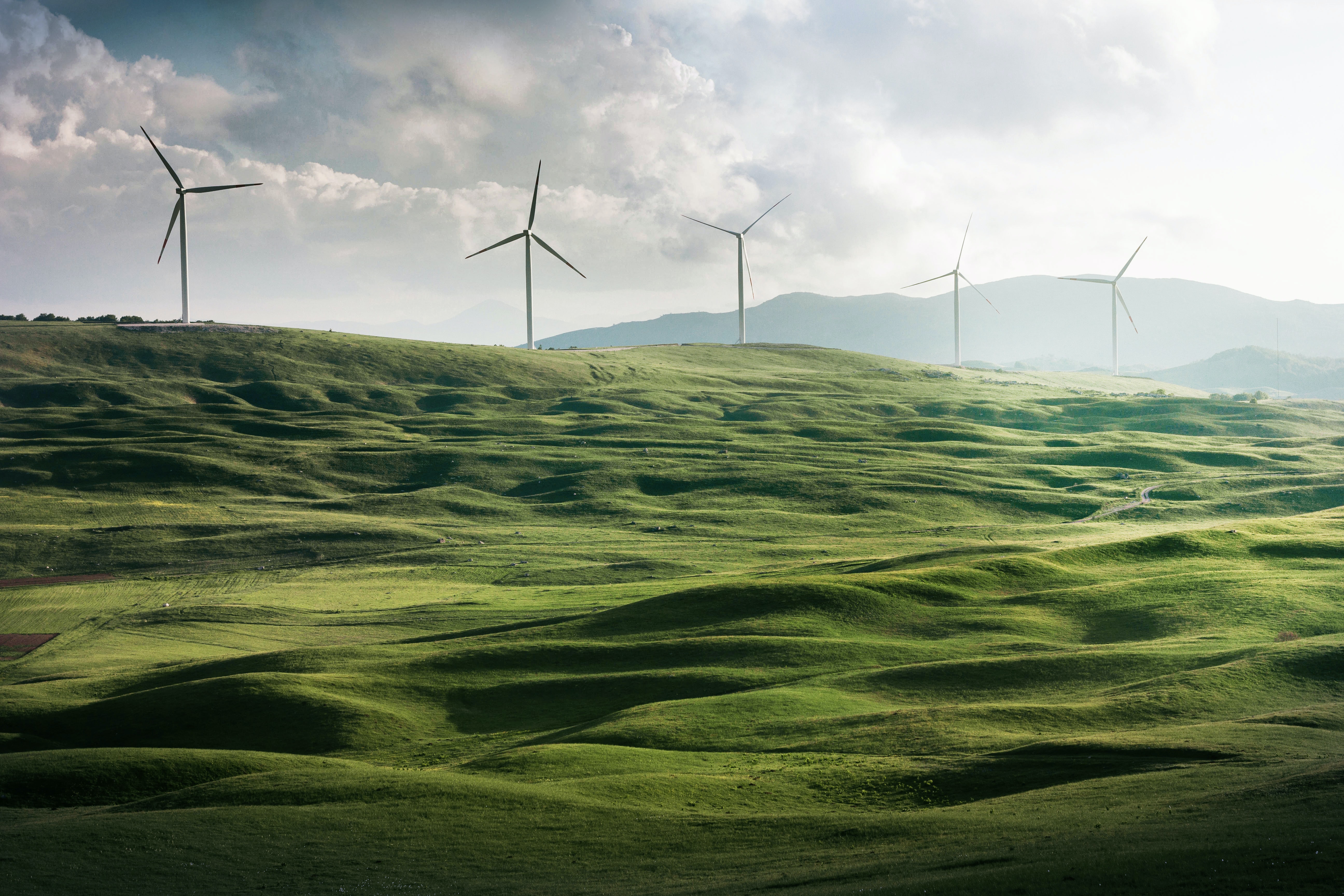 TotalEnergies dispose d'un champ d'éoliennes en pleine nature. 