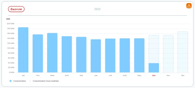 Screenshot customer zone consumption