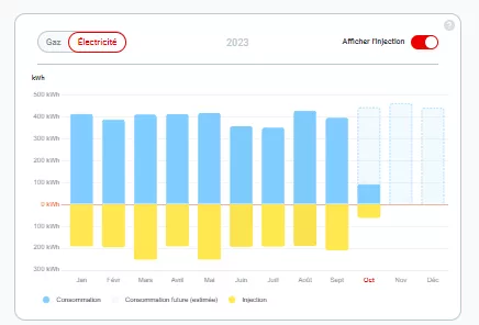 Screenshot customer zone consumption and injection